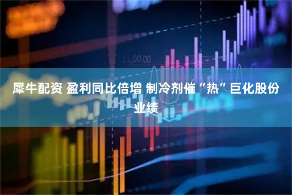 犀牛配资 盈利同比倍增 制冷剂催“热”巨化股份业绩