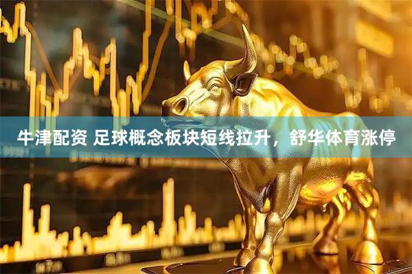 牛津配资 足球概念板块短线拉升，舒华体育涨停