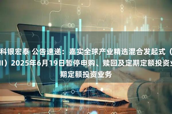 科银宏泰 公告速递：嘉实全球产业精选混合发起式（QDII）2025年6月19日暂停申购、赎回及定期定额投资业务