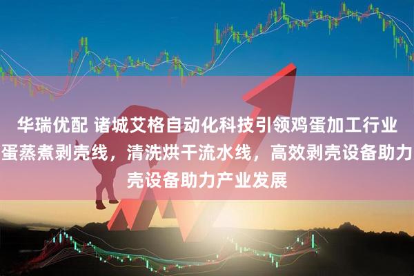 华瑞优配 诸城艾格自动化科技引领鸡蛋加工行业，专业鸡蛋蒸煮剥壳线，清洗烘干流水线，高效剥壳设备助力产业发展
