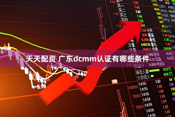 天天配资 广东dcmm认证有哪些条件